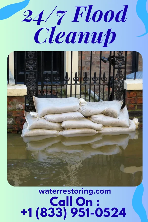 24/7 Flood Cleanup in Hollandale, MS